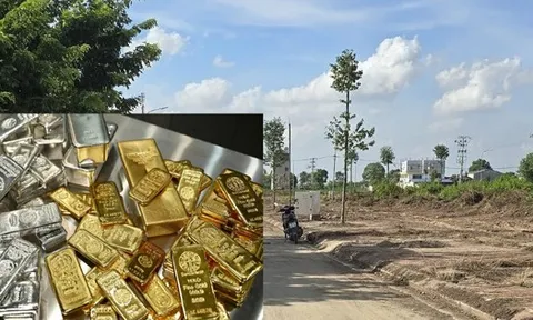 Bỏ 3 tỷ mua 2.800m2 đất tỉnh lúc sốt để rồi "chôn vốn" 4 năm, nhà đầu tư tiếc nuối: "Nếu lúc đó mua vàng giờ đã lãi gần 6 tỷ đồng"