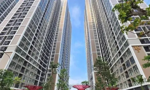 Dòng tiền còn đổ mạnh vào phân khúc căn hộ chung cư năm nay?