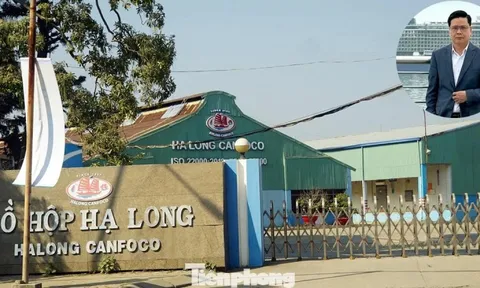 Công ty Đồ hộp Hạ Long bị 'tuýt còi'