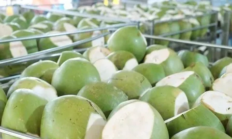 Không phải sầu riêng, một báu vật triệu đô của Việt Nam khiến Trung Quốc, Mỹ cực mê: xuất khẩu hơn 1 tỷ USD, diện tích trồng gần 200.000 ha