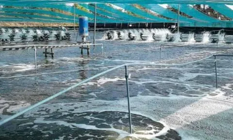 Không phải đất hiếm, Mỹ, Trung Quốc đang đua nhau săn một kho báu của Việt Nam: Nước ta là ông lớn đứng thứ 3 thế giới, xuất khẩu lập đỉnh 4,5 tỷ USD