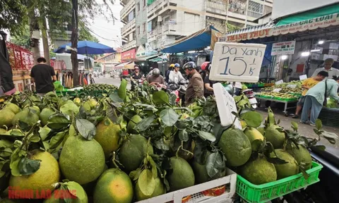 Giá bưởi da xanh bất ngờ rẻ ngay trước tháng Chạp