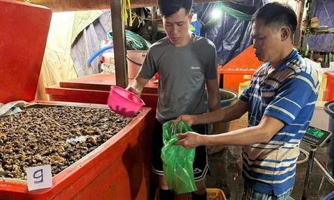 Công an TPHCM công bố hình ảnh bên trong cơ sở ngâm ốc bươu bằng hoá chất