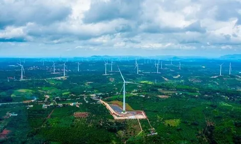 Thêm một công ty “họ” Trung Nam bị phạt 92,5 triệu đồng vì “ém” thông tin trái phiếu