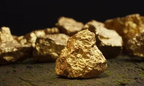 Cổ phiếu công ty đào vàng Việt Nam tăng dựng đứng