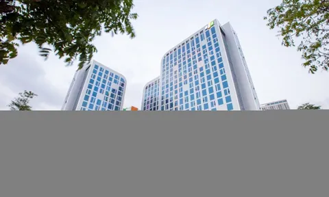 FPT lần đầu vượt 10.000 tỷ lợi nhuận