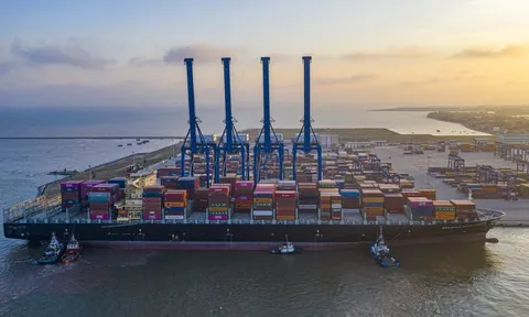 Viconship (VSC) báo lãi ròng 681 tỷ trong năm 2025, tăng 130% so với năm trước