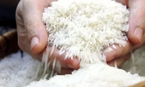 Gạo Thái Lan tăng giá mạnh, Việt Nam giữ đà ổn định