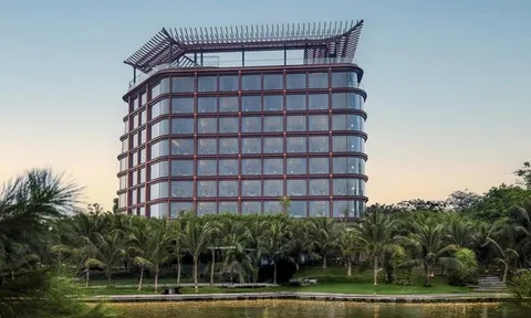 OCH thực hiện vượt kế hoạch doanh thu và lợi nhuận năm 2025