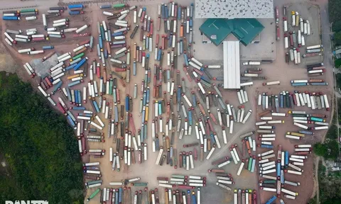 Hải quan hỏa tốc đề nghị tháo gỡ kiểm dịch an toàn thực phẩm hàng nhập khẩu