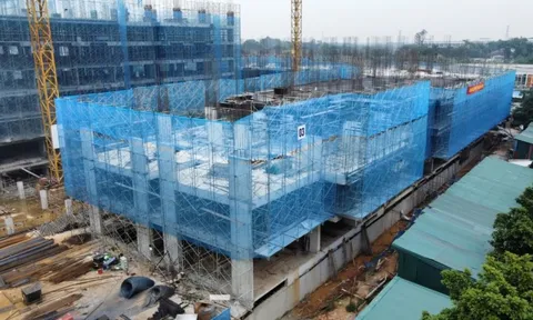 Hướng dẫn mới nhất xác nhận thu nhập mua NOXH cho lao động tự do