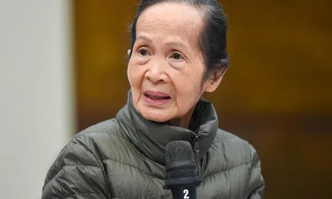 Chuyên gia kinh tế Phạm Chi Lan: Công nghệ đường sắt rất "nóng" và mới, Hòa Phát và Vinfast nên ngồi bàn với nhau xem ai làm gì, cho vừa sức, không gây lãng phí