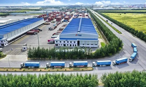 Vận tải xếp dỡ Hải An lãi kỷ lục, lãnh đạo nhận thưởng tiền tỷ