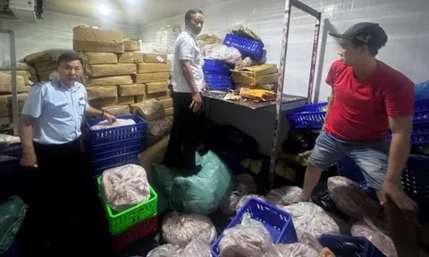 TP.HCM, phát hiện hơn 700kg thịt cá biển, thịt heo, thịt vịt không rõ nguồn gốc chuẩn bị tiêu thụ