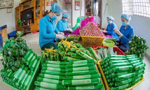 “Vương quốc” nem Lai Vung chạy đua với Tết