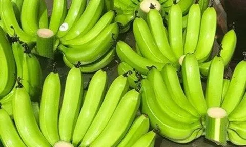 Săn chuối lẻ thắp hương: Thêm 1 quả, giá vọt lên tiền triệu
