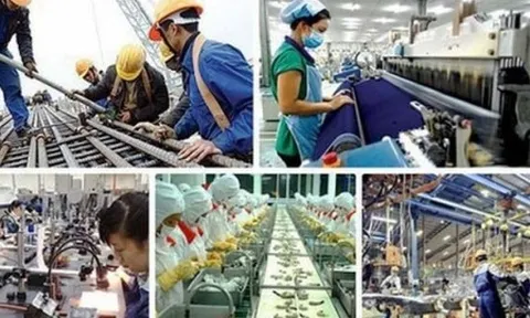 Chính sách đối với người lao động khi cổ phần hóa doanh nghiệp