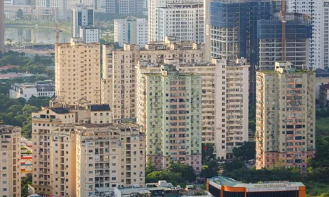 Kịch bản nào cho thị trường bất động sản 2026?