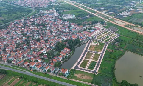 4 phân khúc bất động sản dự báo hút mạnh dòng tiền đầu tư 2026