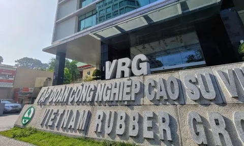 Thanh tra Chính phủ chỉ điểm loạt vi phạm tài chính, đầu tư tại Tập đoàn Cao su Việt Nam