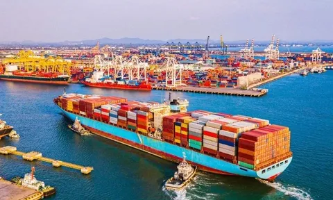 Hàng Việt đi Trung Đông: 'Trễ 15-20 ngày là lỡ mùa bán, kéo dài vài tháng coi như mất cả đơn hàng'