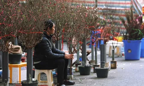 Đào, quất ế ẩm, tiểu thương đỏ mắt chờ "thượng đế"