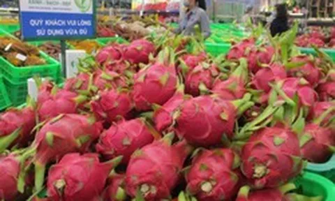 Quy định mới về xuất khẩu nông sản sang Trung Quốc từ 1-6