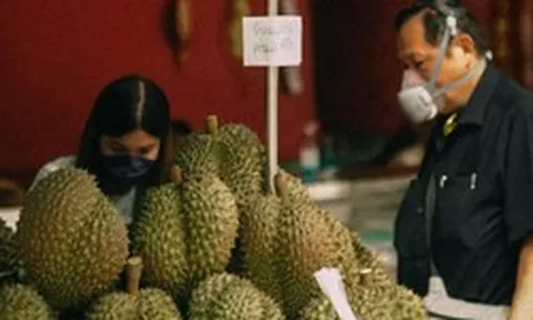 Đối thủ lớn nhất của sầu riêng Việt Nam đón tin buồn từ Trung Quốc và Campuchia