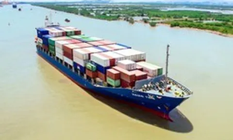 Hải An - Viconship đầu tư đội tàu container 3.000-7.100 TEU, tăng tốc mở tuyến vận tải quốc tế