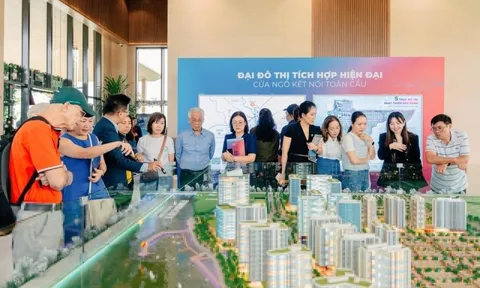 Khi người mua nhà tìm nơi để sống thay vì tài sản đầu cơ