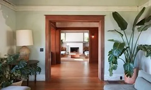 3 loại cây "hút" tài lộc và may mắn, rất nên trồng trong nhà