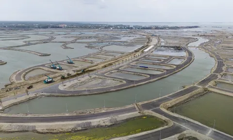 Toàn cảnh khu đô thị lấn biển Cần Giờ sau gần một năm khởi công