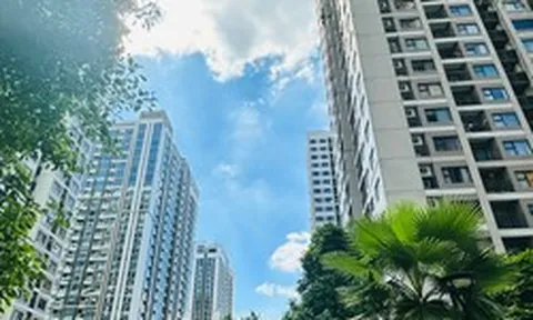 Nhà đầu tư cần thoát hàng đang gia tăng, xuất hiện mức cắt lỗ khoảng 100-300 triệu đồng/sản phẩm