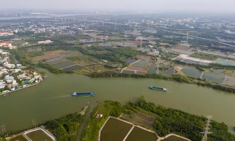 TP.HCM thúc tiến độ cầu Cần Giờ