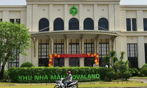 Cổ phiếu tăng dựng đứng, điều gì đang xảy ra tại Novaland?