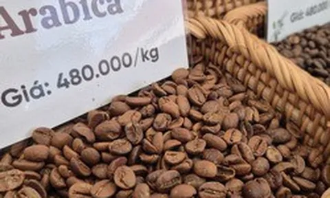 Giá cà phê hôm nay 25-3: Arabica tăng nóng, vượt 7.000 USD/tấn