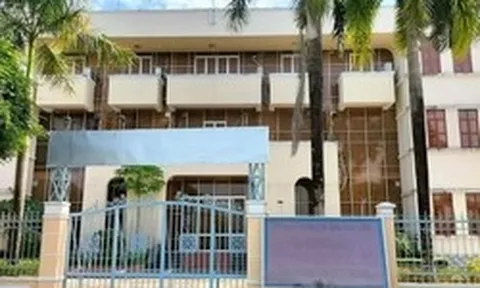 Gần 60ha đất công ở Cà Mau bị lấn chiếm, sử dụng sai mục đích