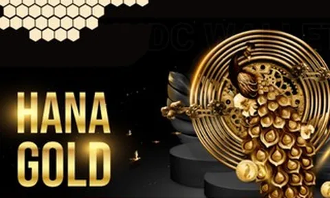 Diễn biến mới nhất liên quan sự cố trên ONUS và Hana Gold