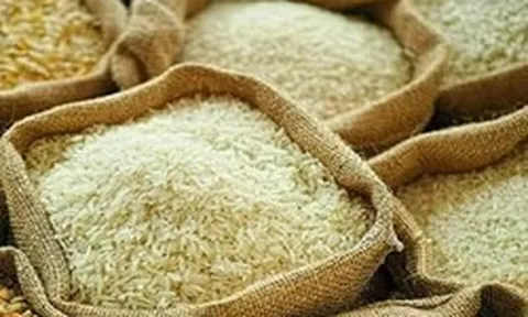 Giá gạo châu Á giảm do chi phí vận tải tăng mạnh