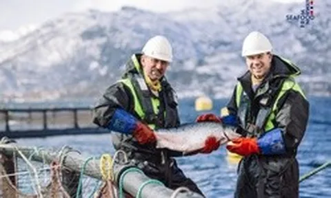 Bí quyết đứng sau vị thế hàng đầu của ngành cá hồi Na Uy