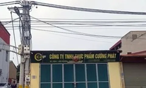 Bên trong công ty cung cấp thịt lợn nhiễm dịch tả lợn Châu Phi vào trường học