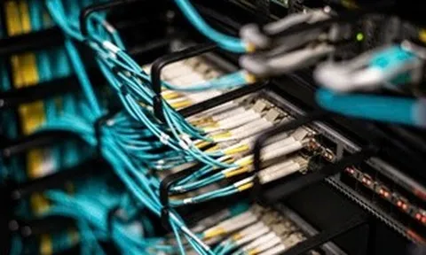 Hơn 50% doanh nghiệp Việt Nam thiếu hụt chuyên gia an ninh mạng