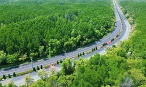 Vingroup đề xuất mở đường Rừng Sác lên 10 làn xe, nối đến khu đô thị Cần Giờ