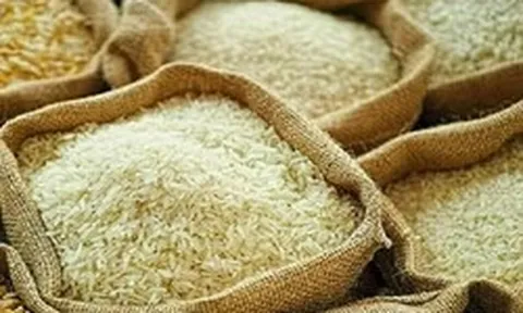 Giá gạo toàn cầu dự báo tăng mạnh
