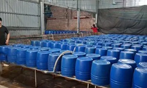 Cận cảnh bên trong cơ sở sản xuất hơn 500 tấn giá đỗ có sử dụng chất độc hại