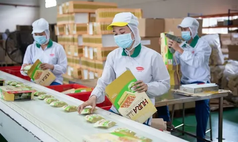 'Đại gia' Indonesia mua lại Bibica của Việt Nam giá 2.600 tỷ