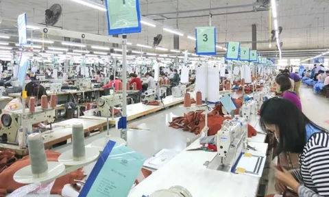 'Ông lớn' dệt may một thời ở TP.HCM dự kiến lỗ 5 năm liên tiếp