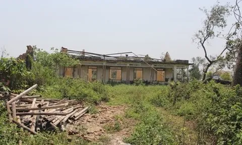 Cận cảnh khu đất vàng bỏ hoang, gây lãng phí tài nguyên, mất mỹ quan đô thị