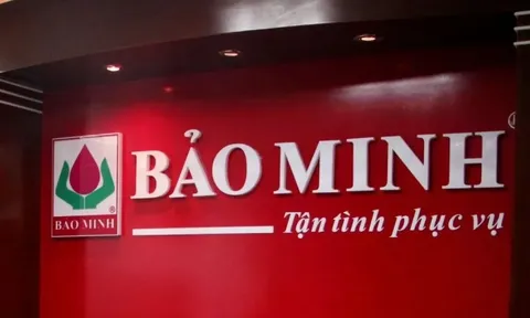 Bảo hiểm Bảo Minh bị kiểm toán ngoại trừ khoản phải thu 156 tỷ