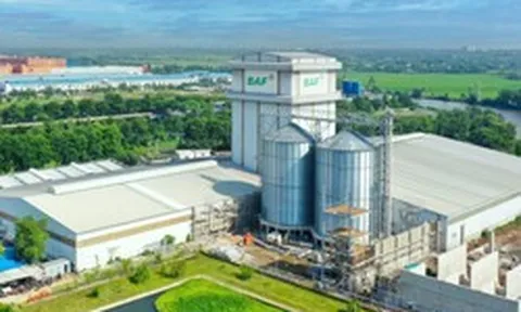 BAF muốn chia thưởng và trả cổ tức 20%, đưa CEO Siba Holdings vào Hội đồng quản trị